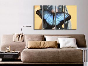 Картина Пеперуда