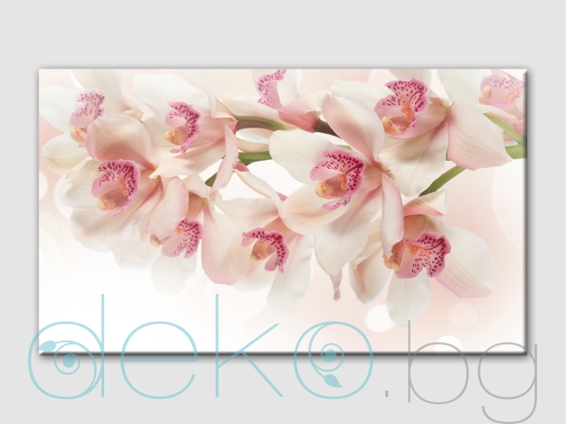 Картина пано "Орхидеи в пастелни цветове"