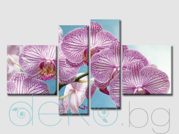 арт пано с орхидеи