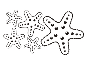 Морски звезди - комплект 5 бр.