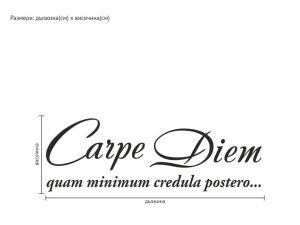 Carpe Diem