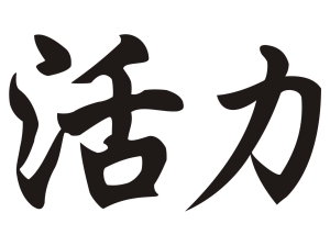 Китайският знак “Енергия за живот”