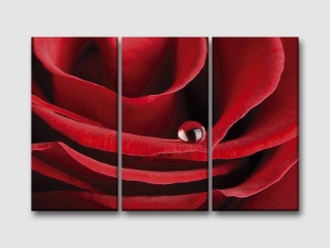 Картина за стена с роза