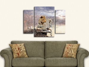 Картина с Леопард