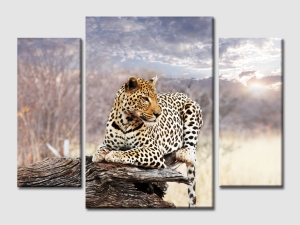 Картина за стена с леопард
