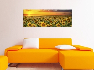 Картина Слънчогледово поле