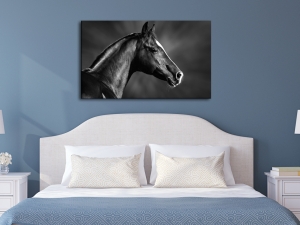 Картина за стена с кон