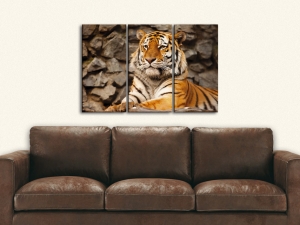 Картина с тигър