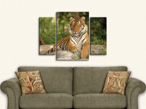 Картина с тигър