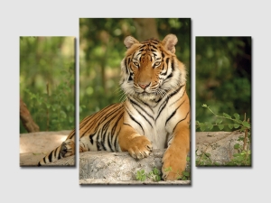 Картина за стена с тигър