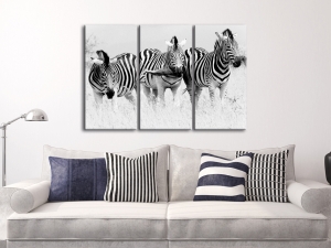 Картина за стена зебри