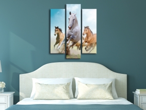 Картина за стена коне