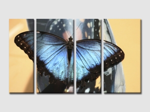 картина за стена с пеперуда