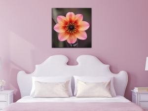 Картини за стена цветя