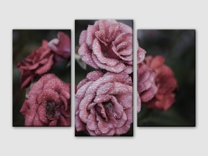 Рози в цвят марсала - 3 части