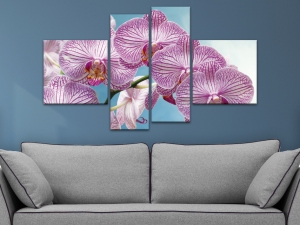 пано за стена орхидея