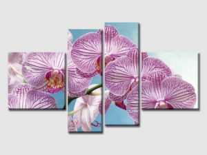 Орхидея - 4 части