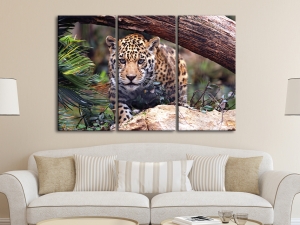 Картина за стена Леопард