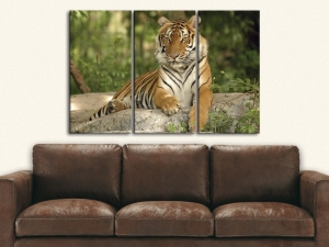Картина за стена Тигър