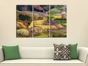 Картина за стена Оризови тераси