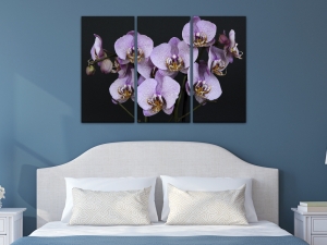 Картина Орхидеи