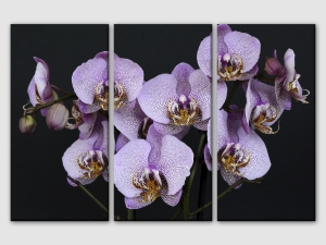 Лилави орхидеи - 3 части