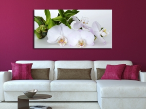 Пано за стена Бели орхидеи