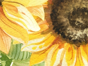 Слънчогледи - стикер с ефект на акварелна рисунка