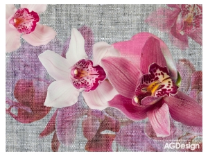 Фототапет Орхидеи - 360x270см