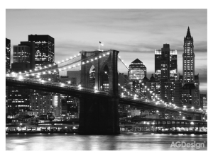 Фототапет Бруклинският мост ч/б - 360x254см