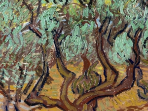 Маслинови дръвчета,  Винсент Ван Гог - репродукция