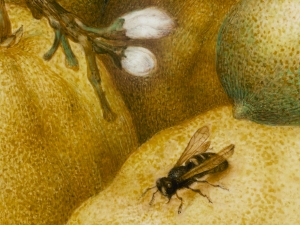 Натюрморт купа с лимони и пчела,  Джована Гарцони - репродукция