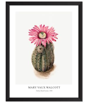 Принт Turkey Head Cactus, Мери Во Уолкът - репродукция