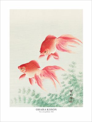 Принт Златни рибки, Охара Косон - репродукция