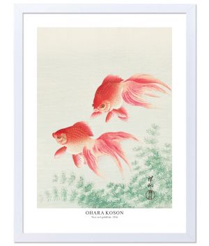 Принт Златни рибки, Охара Косон - репродукция